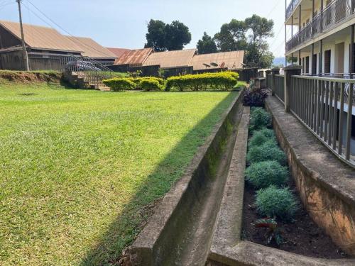 The Pineapple Courtyard
