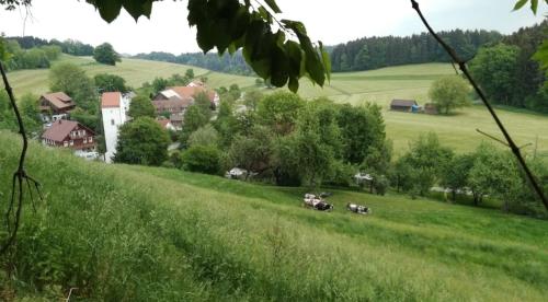 FeWo Bergblickle mit Pool (Matzenweilerhof)