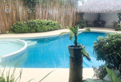 Swimming pool, RedDoorz Premium @ GRAND 29 Hotel in Dumarao
