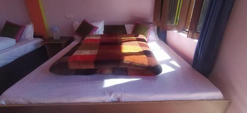 Pine tree home stay