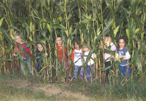 Ferienhof Schlag - image 4