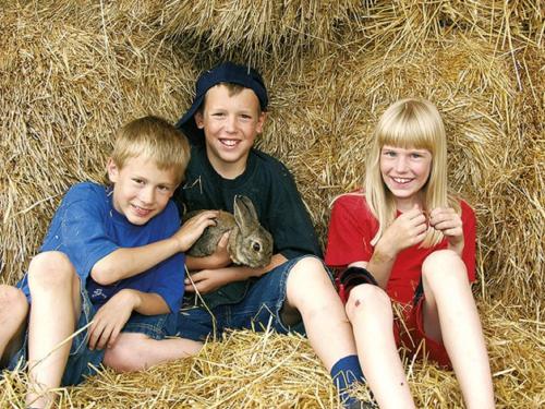 Ferienhof Schlag - image 11