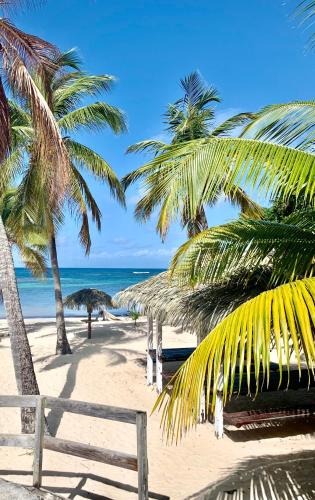 Le Ticolibri Anse des Rochers villa hibiscus