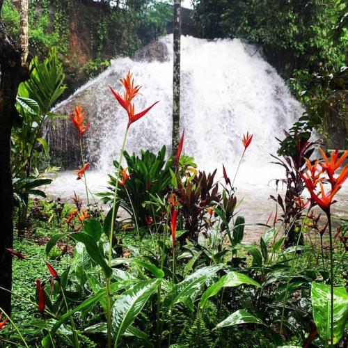 Nature's Lap 2 BR Villa with a waterfall inside