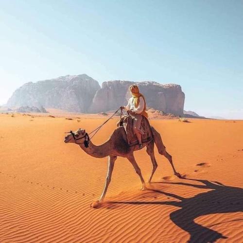 Bedouin cave sleeping under the stars and jeep tour