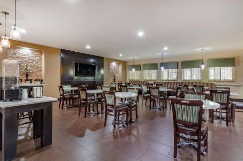 Comfort Suites Georgetown - image 10