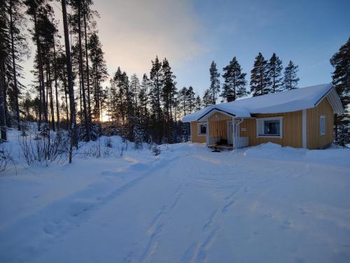 Lake Cottage Jänisvaara