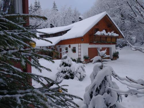 Exterior view, Alm-House HOLLMANN in Zelezna Ruda