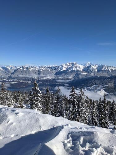 Les Gîtes du Lachat