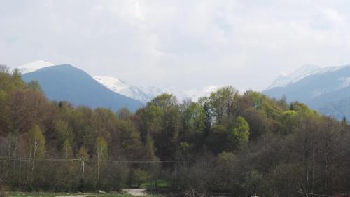 Skats, Casa Ada in Arpasu de Sus