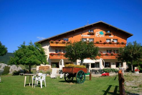 Logis Hotel Les Playes - Hôtel - Villard-de-Lans