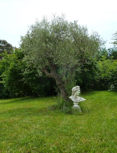 Villa Elysae chambre d'hôte La Roquette-sur-Siagne
