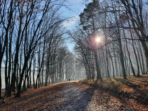 Glamping NA BREJGI in 馬里博爾