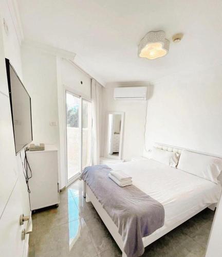 提比哩亚 Kings Towers Blue Beach 4星级 单人房 套房