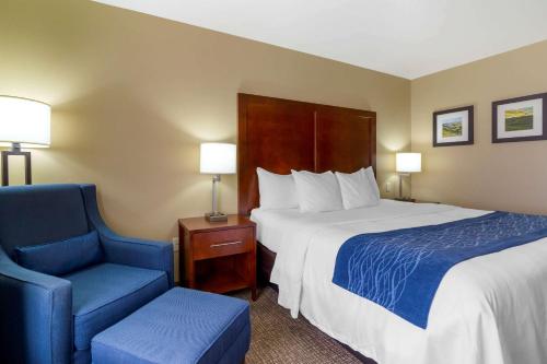 Comfort Inn & Suites Mandan - Bismarck - image 9