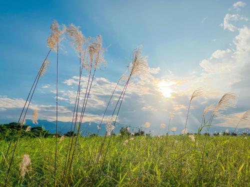 鬧鐘關掉旅店 Alarm Off B&B