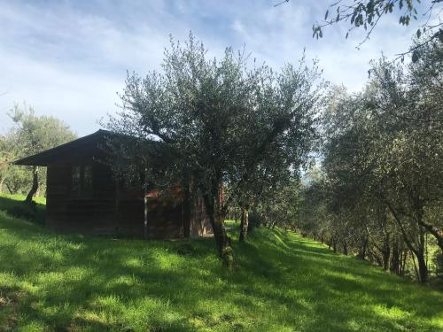 Спорт та розваги, Agriturismo Podere I' Caldino in Ріньяно Сульарно