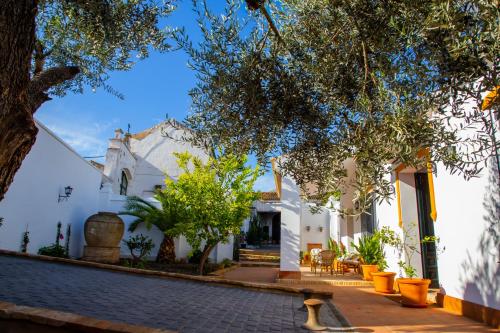 Have, El Molino del Huertezuelo in La Palma del Condado
