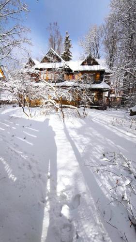 Wiosna, Zakopane (fotografie 7)
