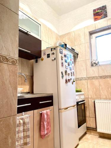 keuken, Mosaico Alfetta Hostel in Timisoara