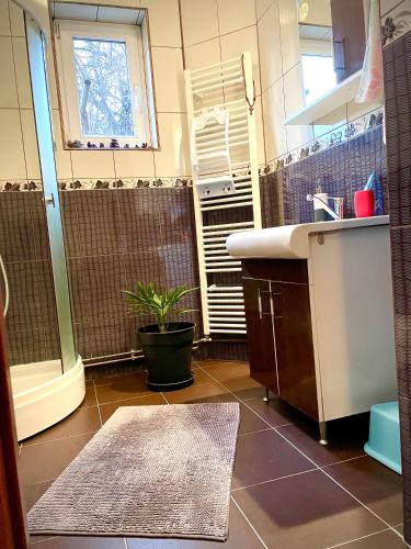 Badkamer, Mosaico Alfetta Hostel in Timisoara