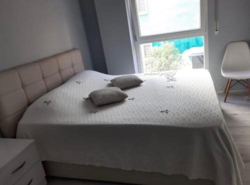 Charming apartment in the center of Tirana