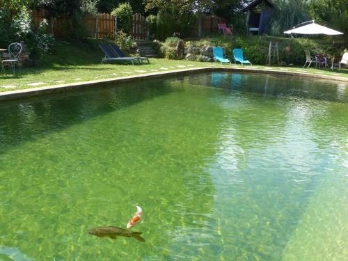 Maison de charme, piscine naturelle Dordogne Périgord