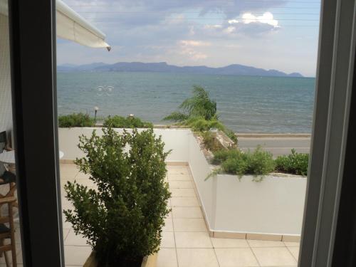 Miloi Rooms and Apartments