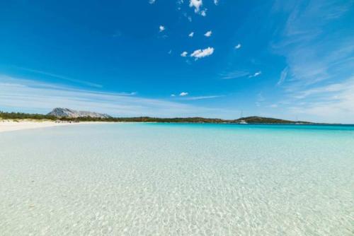 MARINA OF OLBIA APARTMENT