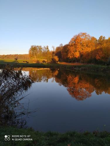 Agroturystyka u Ani