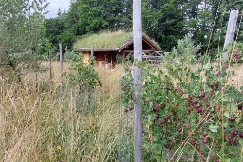 CHALET BORŮVKA - biofarma na samotě v lesích