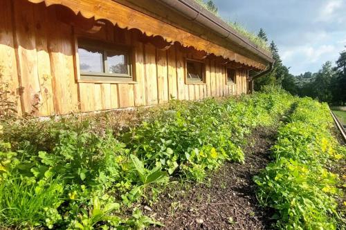 CHALET BORŮVKA - biofarma na samotě v lesích