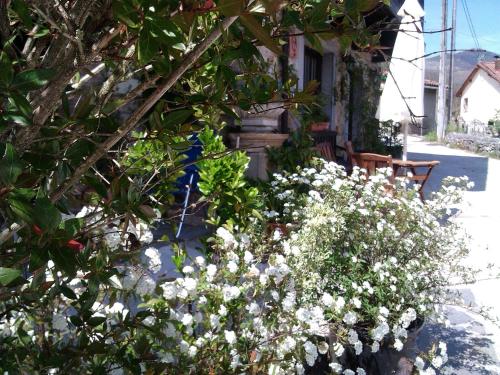 Casa de Aldea El Torrexon