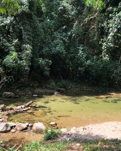 Sítio Bagatelle com cachoeira e piscina!