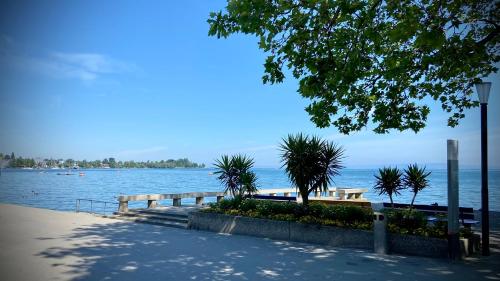 Spielzimmer am Bodensee in Rorschach, Schweiz