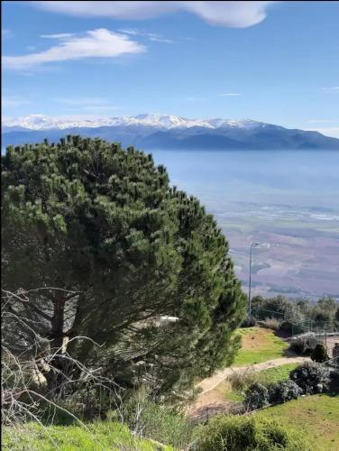 המון חרמון - סוויטה בגליל העליון