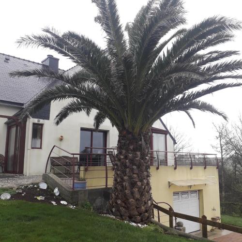Le palmier chambre d'hôte Golf Brest-Les Abers
