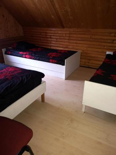 1 queen bed, 2 twin beds