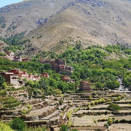 Toubkal Ecolodge