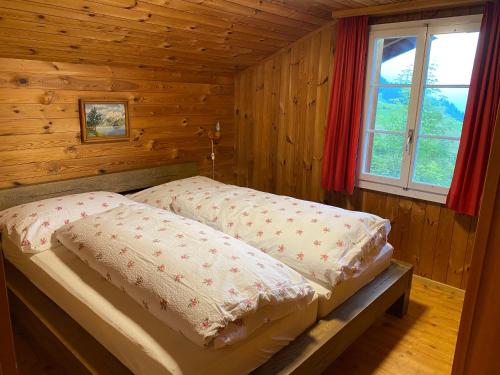 Chalet - Haus Ahorn Ost, Hasliberg (fotografie 8)