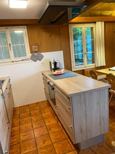 Chalet - Haus Ahorn Ost, Hasliberg (fotografie 6)
