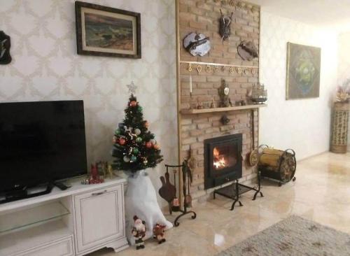 Fashion Home Lux gîte à louer Montpellier