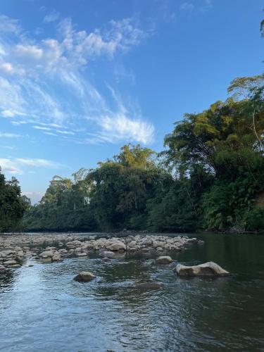 Caoni Riverside Suites - Birders Paradise by the river, Ecuadorian Chocó