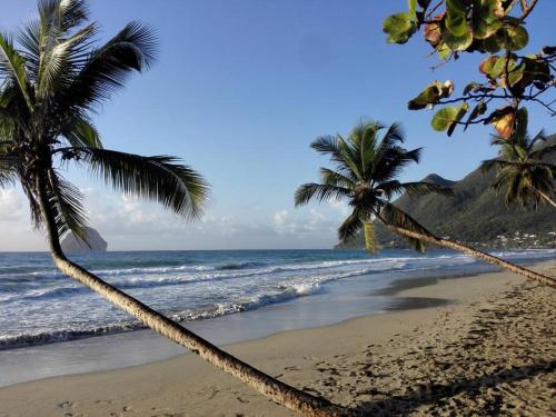 Villa JB - Petit appartement vue sur mer