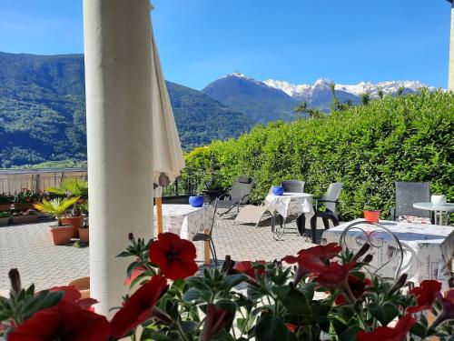 B&B Il Grappolo - Accommodation - Bianzone