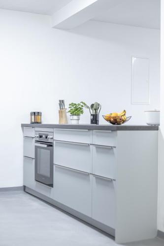 Exklusive (OG) Neubau-Ferienwohnung mit Fernsicht, Costanza (foto 6)