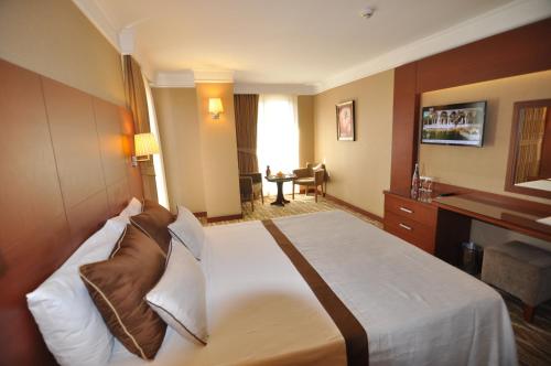 Vicenza Hotel Istanbul Old City, Istanbul (photo 7)