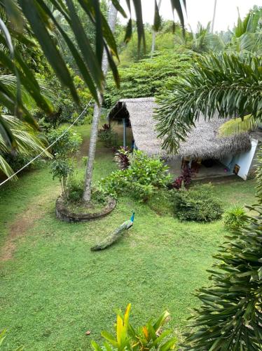 Hiru Villa Tangalle