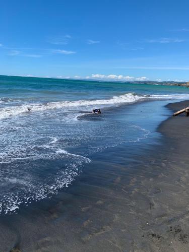 Urenui Beach Bach in Urenui