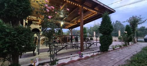 Vila Sia in Baile Govora